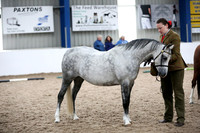 NECWPCA-SUMMER-WELSH-SILVER-MEDAL-SHOW (1 of 412)