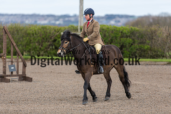 BDH-Point-to-Point-7