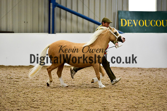 NECWPCA-SUMMER-WELSH-SILVER-MEDAL-SHOW (25 of 46)
