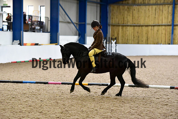 NECWPCA-SUMMER-WELSH-SILVER-MEDAL-SHOW (288 of 315)