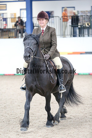 NECWPCA-SUMMER-WELSH-SILVER-MEDAL-SHOW (41 of 419)