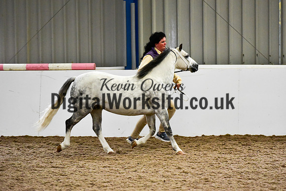 NECWPCA-SUMMER-WELSH-SILVER-MEDAL-SHOW (25 of 412)