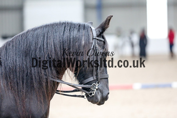 NECWPCA-SUMMER-WELSH-SILVER-MEDAL-SHOW (6 of 120)