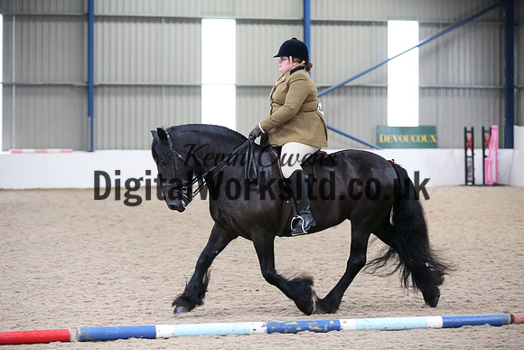 NECWPCA-SUMMER-WELSH-SILVER-MEDAL-SHOW (126 of 325)