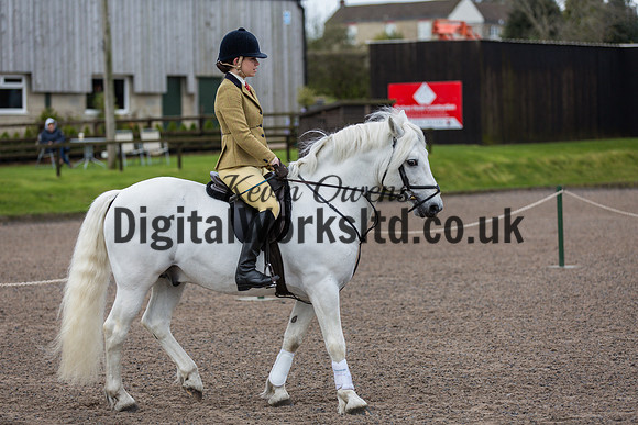 BDH-Point-to-Point-34