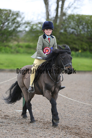 BDH-Point-to-Point-137