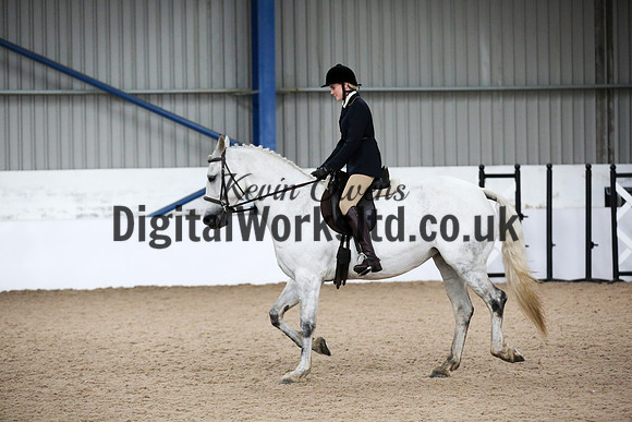 NECWPCA-SUMMER-WELSH-SILVER-MEDAL-SHOW (34 of 315)