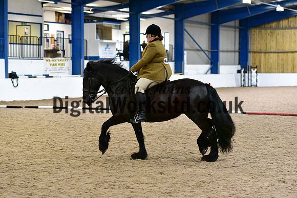 NECWPCA-SUMMER-WELSH-SILVER-MEDAL-SHOW (150 of 325)