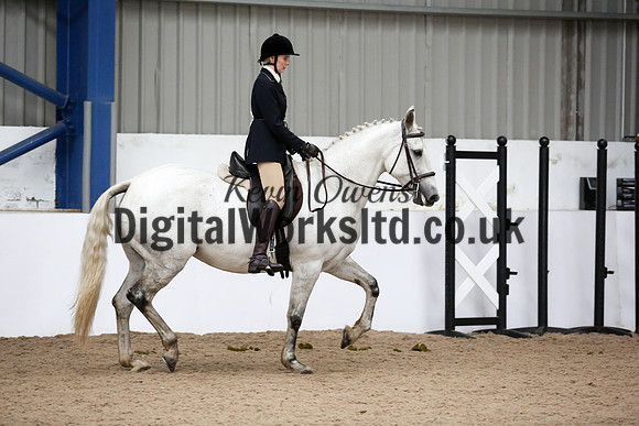 NECWPCA-SUMMER-WELSH-SILVER-MEDAL-SHOW (121 of 315)