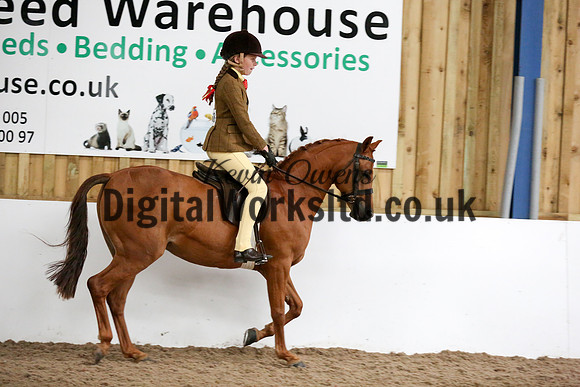 NECWPCA-SUMMER-WELSH-SILVER-MEDAL-SHOW (55 of 325)
