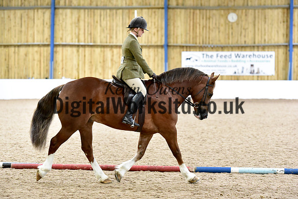 NECWPCA-SUMMER-WELSH-SILVER-MEDAL-SHOW (163 of 315)