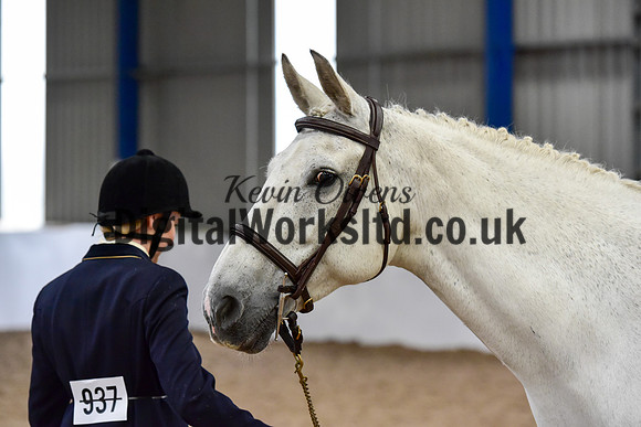 NECWPCA-SUMMER-WELSH-SILVER-MEDAL-SHOW (3 of 150)