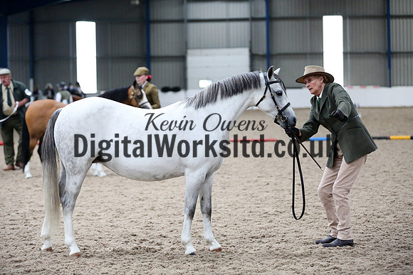 NECWPCA-SUMMER-WELSH-SILVER-MEDAL-SHOW (46 of 427)