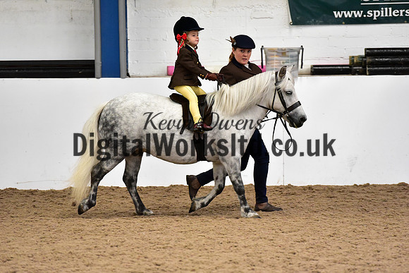 NECWPCA-SUMMER-WELSH-SILVER-MEDAL-SHOW (117 of 120)