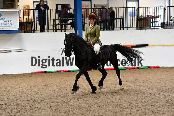 NECWPCA-SUMMER-WELSH-SILVER-MEDAL-SHOW (14 of 92)