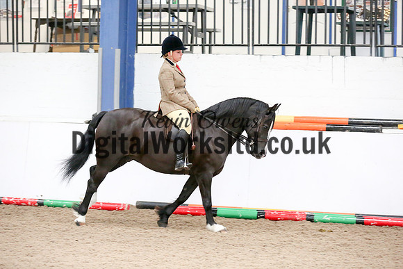 NECWPCA-SUMMER-WELSH-SILVER-MEDAL-SHOW (264 of 315)