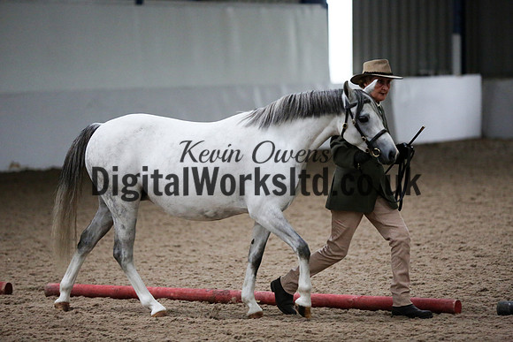 NECWPCA-SUMMER-WELSH-SILVER-MEDAL-SHOW (9 of 427)