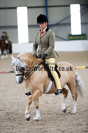 NECWPCA-SUMMER-WELSH-SILVER-MEDAL-SHOW (194 of 315)