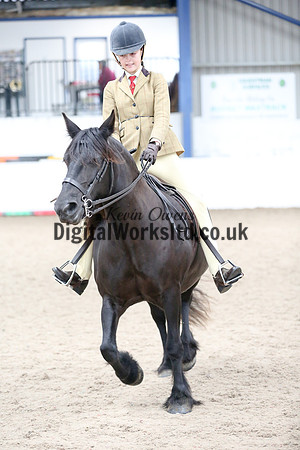 NECWPCA-SUMMER-WELSH-SILVER-MEDAL-SHOW (7 of 120)
