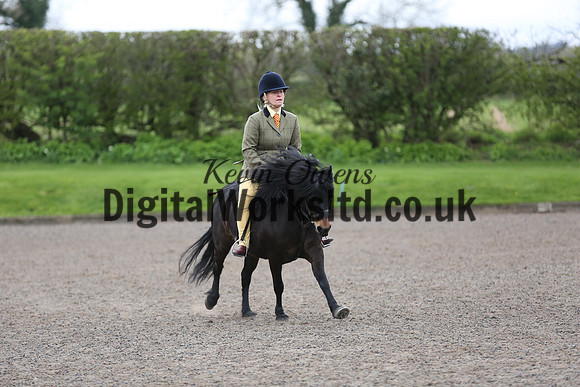 BDH-Point-to-Point-157