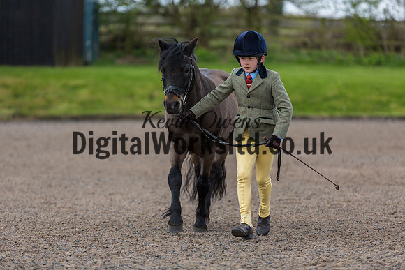 BDH-Point-to-Point-29
