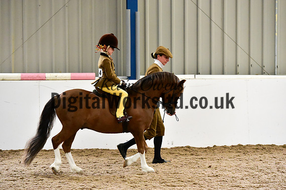 NECWPCA-SUMMER-WELSH-SILVER-MEDAL-SHOW (1 of 140)