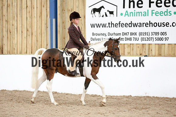 NECWPCA-SUMMER-WELSH-SILVER-MEDAL-SHOW (60 of 419)