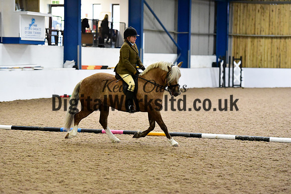 NECWPCA-SUMMER-WELSH-SILVER-MEDAL-SHOW (15 of 325)