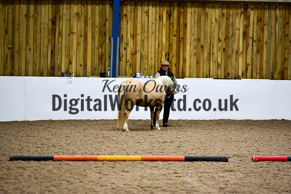 NECWPCA-SUMMER-WELSH-SILVER-MEDAL-SHOW (2 of 412)