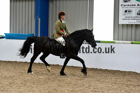 NECWPCA-SUMMER-WELSH-SILVER-MEDAL-SHOW (54 of 92)