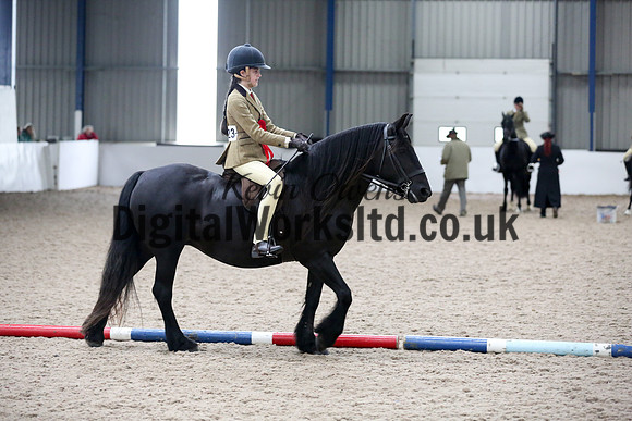 NECWPCA-SUMMER-WELSH-SILVER-MEDAL-SHOW (99 of 315)