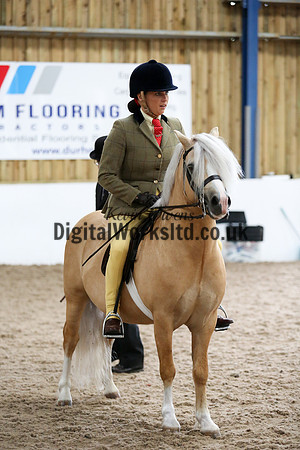 NECWPCA-SUMMER-WELSH-SILVER-MEDAL-SHOW (205 of 315)