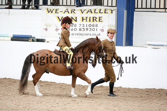 NECWPCA-SUMMER-WELSH-SILVER-MEDAL-SHOW (98 of 325)