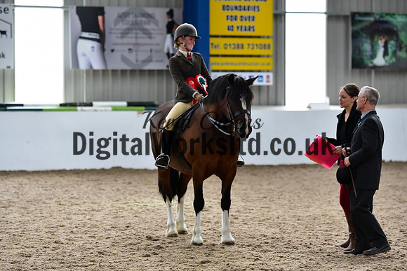NECWPCA-SUMMER-WELSH-SILVER-MEDAL-SHOW (91 of 92)
