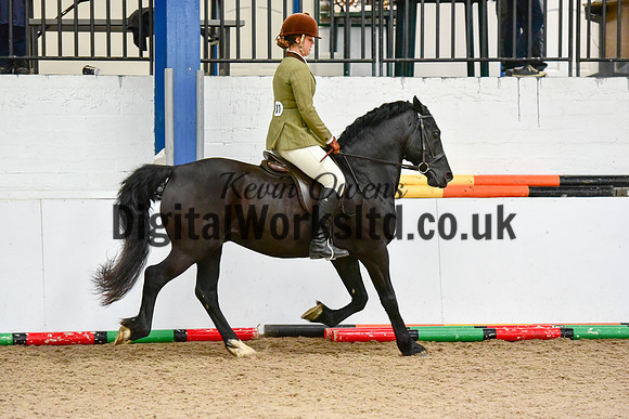 NECWPCA-SUMMER-WELSH-SILVER-MEDAL-SHOW (212 of 325)