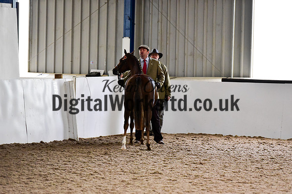 NECWPCA-SUMMER-WELSH-SILVER-MEDAL-SHOW (40 of 150)