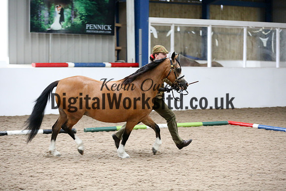 NECWPCA-SUMMER-WELSH-SILVER-MEDAL-SHOW (32 of 427)