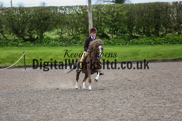 BDH-Point-to-Point-201