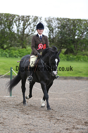 BDH-Point-to-Point-131