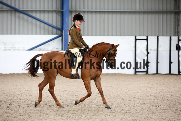 NECWPCA-SUMMER-WELSH-SILVER-MEDAL-SHOW (8 of 315)