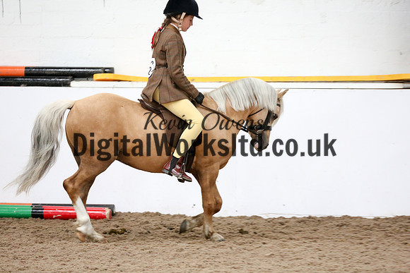 NECWPCA-SUMMER-WELSH-SILVER-MEDAL-SHOW (30 of 325)