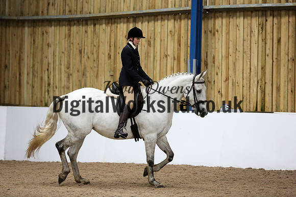 NECWPCA-SUMMER-WELSH-SILVER-MEDAL-SHOW (28 of 315)
