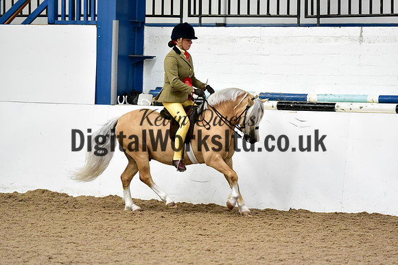 NECWPCA-SUMMER-WELSH-SILVER-MEDAL-SHOW (69 of 92)