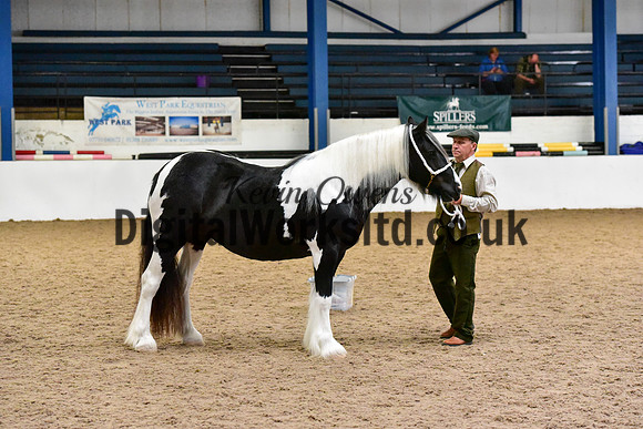 NECWPCA-SUMMER-WELSH-SILVER-MEDAL-SHOW (27 of 150)