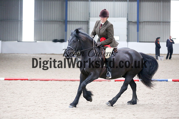 NECWPCA-SUMMER-WELSH-SILVER-MEDAL-SHOW (143 of 315)