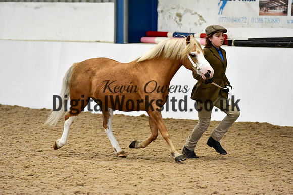 NECWPCA-SUMMER-WELSH-SILVER-MEDAL-SHOW (6 of 61)