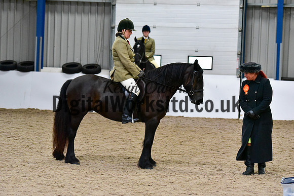 NECWPCA-SUMMER-WELSH-SILVER-MEDAL-SHOW (204 of 315)