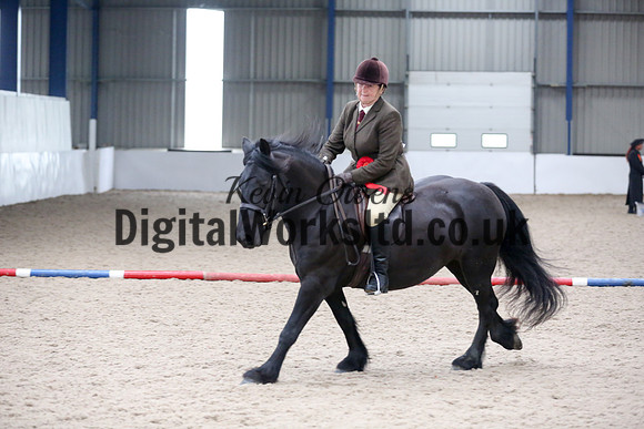 NECWPCA-SUMMER-WELSH-SILVER-MEDAL-SHOW (144 of 315)