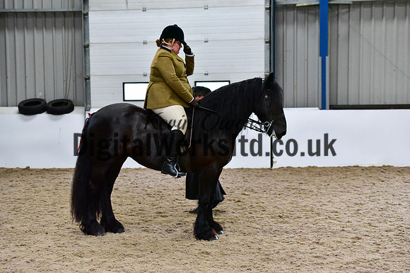 NECWPCA-SUMMER-WELSH-SILVER-MEDAL-SHOW (152 of 325)