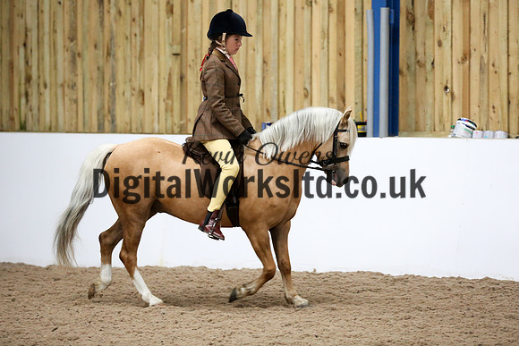 NECWPCA-SUMMER-WELSH-SILVER-MEDAL-SHOW (35 of 325)